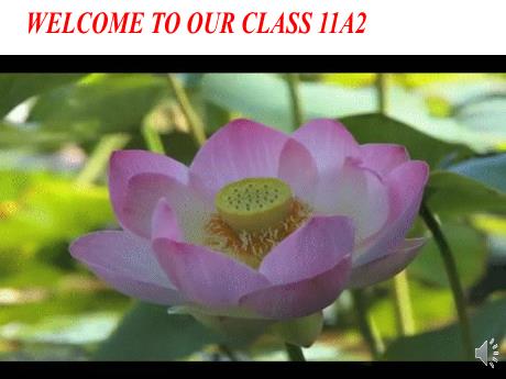 Bài giảng Tiếng Anh 11 (Global Success) - Unit 3: Cities of the future (Getting started)