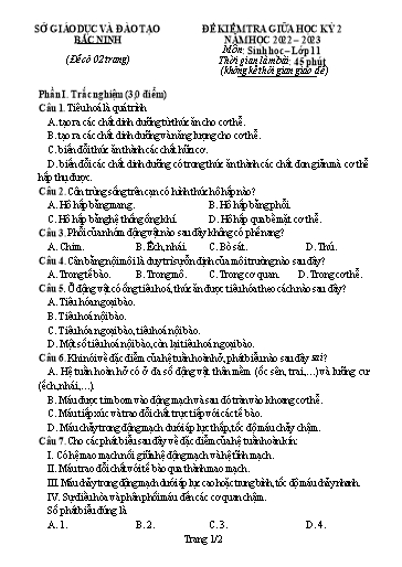 Đề kiểm tra giữa học kì 2 môn Sinh học 11 - Sở GD&ĐT Bắc Ninh 2022-2023 (Có đáp án)