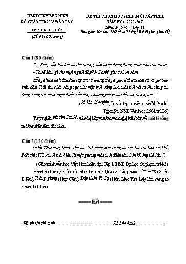 Đề thi chọn HSG cấp tỉnh môn Ngữ văn 11 - Sở GD&ĐT Bắc Ninh 2020-2021 (Có đáp án)
