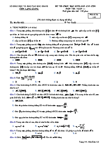 Đề thi chọn HSG môn Toán 11 cụm Lạng Giang - Sở GD&ĐT Bắc Giang 2018-2019 (Có đáp án)